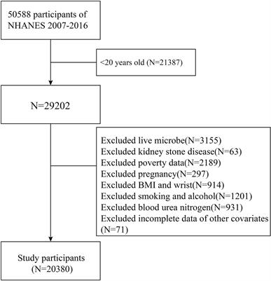 Association of dietary live microbe intake with kidney stone disease in US adults: a real-world cross-sectional study